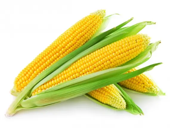 Продукты: Кукуруза