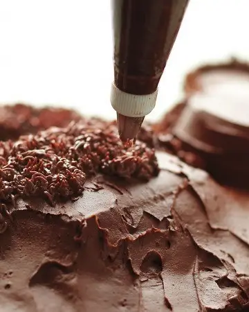 Лига жратвы: ФОТО РЕЦЕПТ: Торт в форме медведя от Cake boss