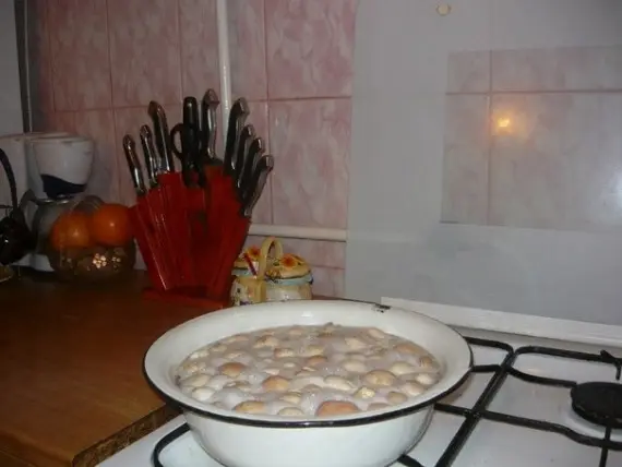 Консервирование: ФОТО РЕЦЕПТ: Маринуем грибы дома