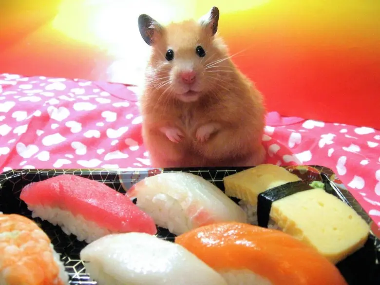 Заведения: Суши на дом за 45 минут: «Sushi-life (Суши-лайф)» – честные суши по хорошей цене