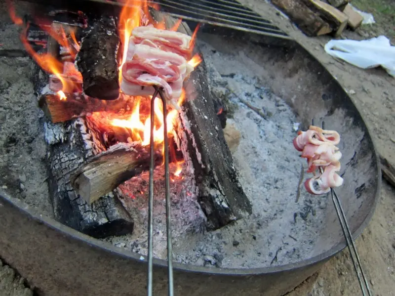 Рецепты: Время пикников! 7 вариантов блюд на костре и мангале