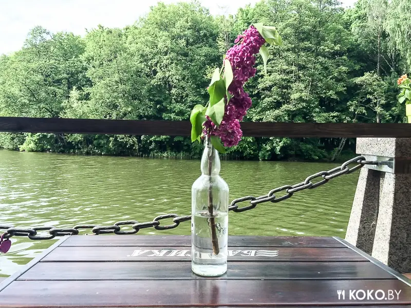Заведения: Кальянная «Терраса Парк» с элементами пикника — курим на природе, плюсы и минусы