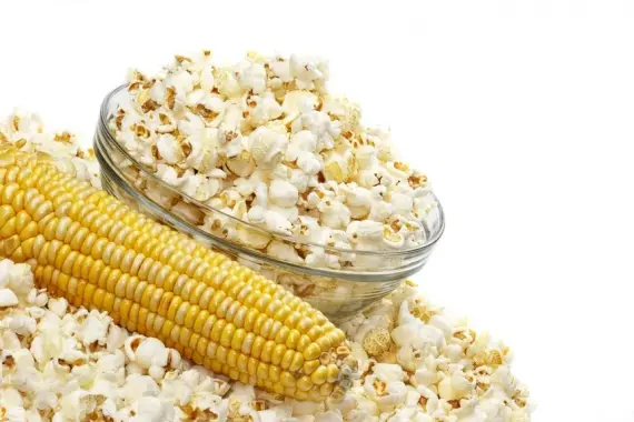 Советы: Что приготовить в походе? Простое, вкусное и сытное меню