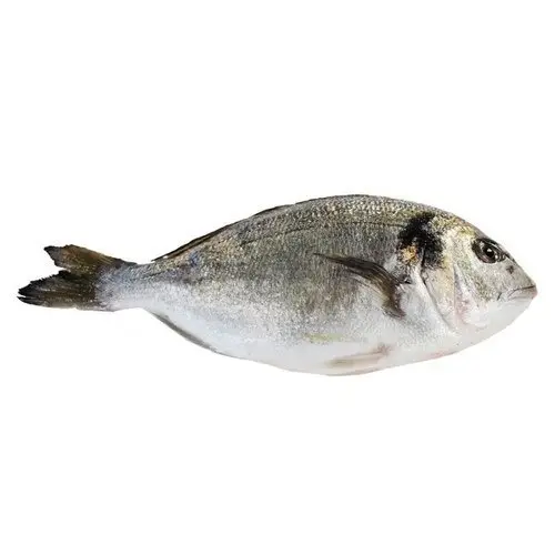Продукты: Блог им. Yashimoto: Про дорадо