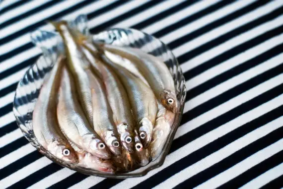 Вкусное о еде: Почему питерская весна пахнет свежими огурцами?