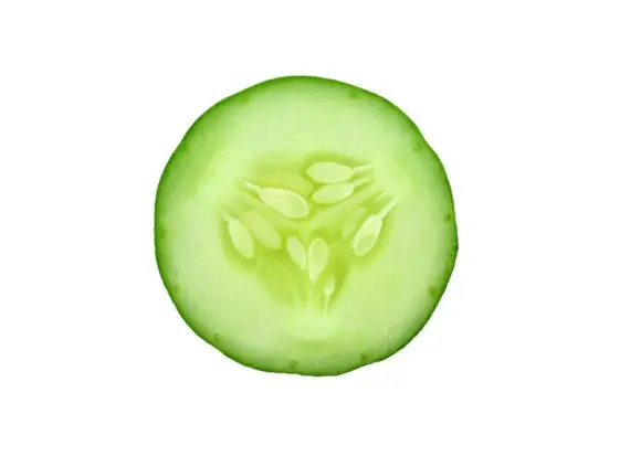 Вкусное о еде: Полезная ягода? Конечно, огурец!