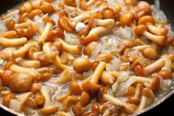 Птица: ФОТО РЕЦЕПТ: Золотистые куриные зразы с вешенками