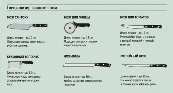 Советы: Вкусное о еде: А что вы знаете о кухонных ножах?
