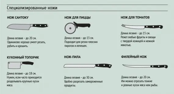 Советы: Вкусное о еде: А что вы знаете о кухонных ножах?
