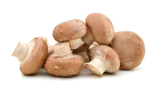 Советы: 16 продуктов, которые можно вырастить дома