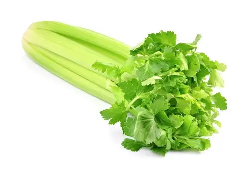 Советы: 16 продуктов, которые можно вырастить дома