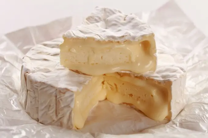 Пища для ума: Выбор КокоБай - 10 самых вкусных сортов сыра