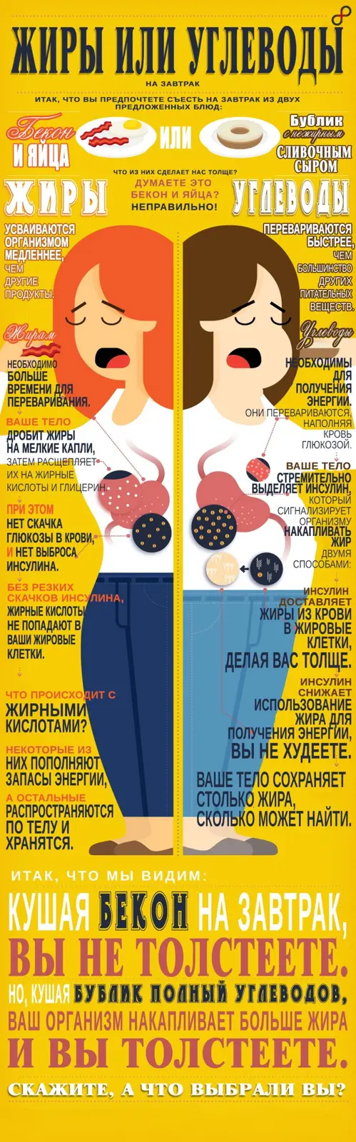 Диеты: Жиры vs углеводы
