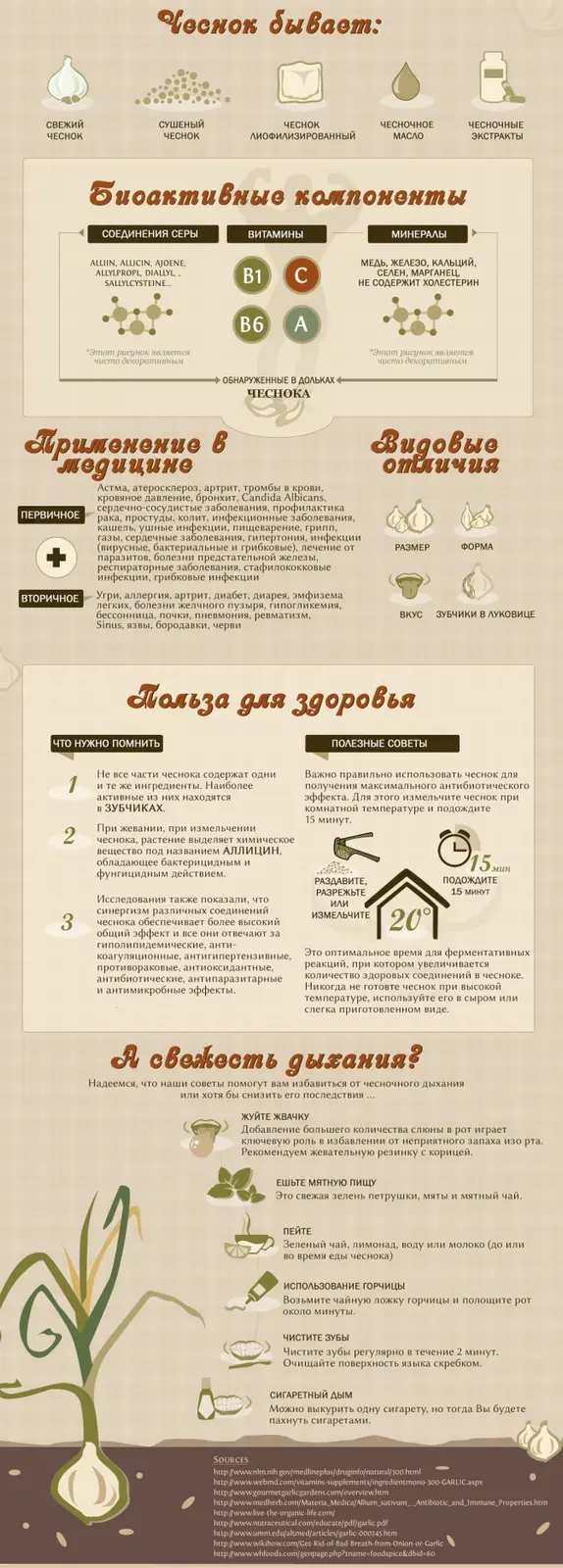 Вкусное о еде: Какими удивительными свойствами обладает чеснок