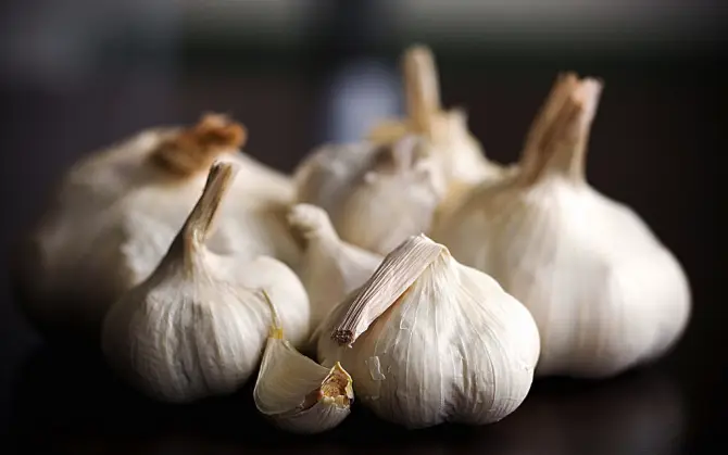 Вкусное о еде: Какими удивительными свойствами обладает чеснок