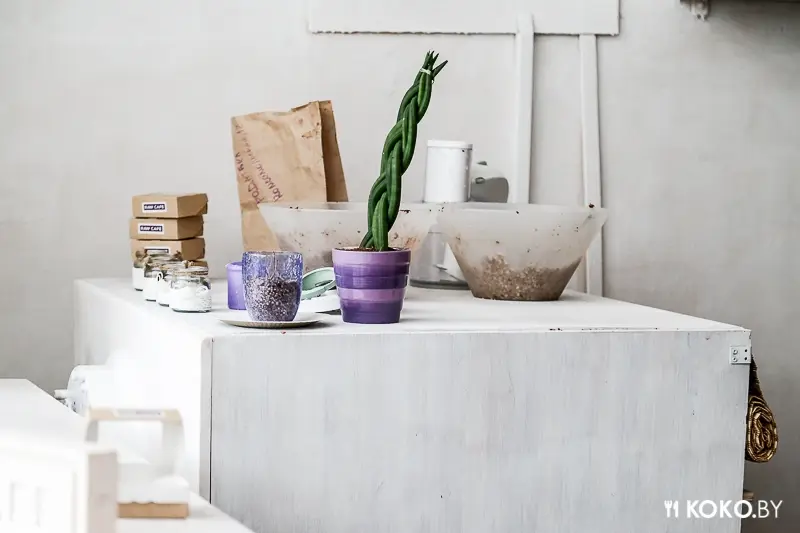 Заведения: «Raw Cafe» — пока единственное сыроедческое кафе в Минске формата take away