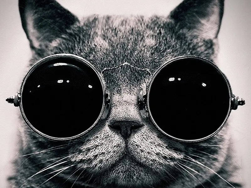Минск: Что творится внутри клуба премиум-класса «Rich Cat» за неделю до открытия