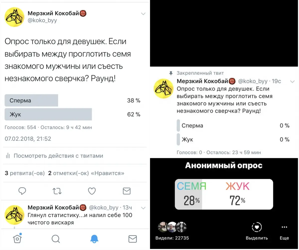 Где в Минске можно легально попробовать жареных сверчков