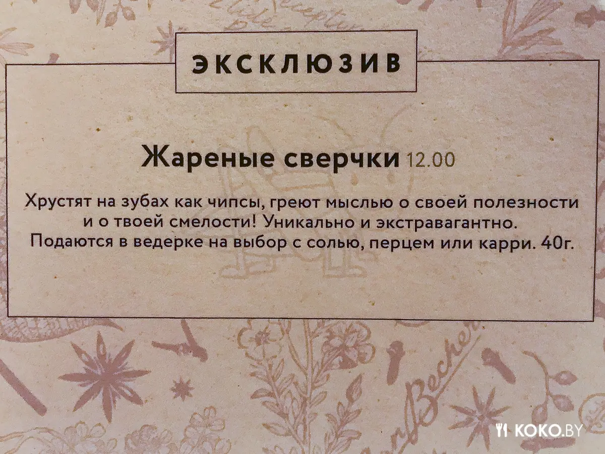 Где в Минске можно легально попробовать жареных сверчков